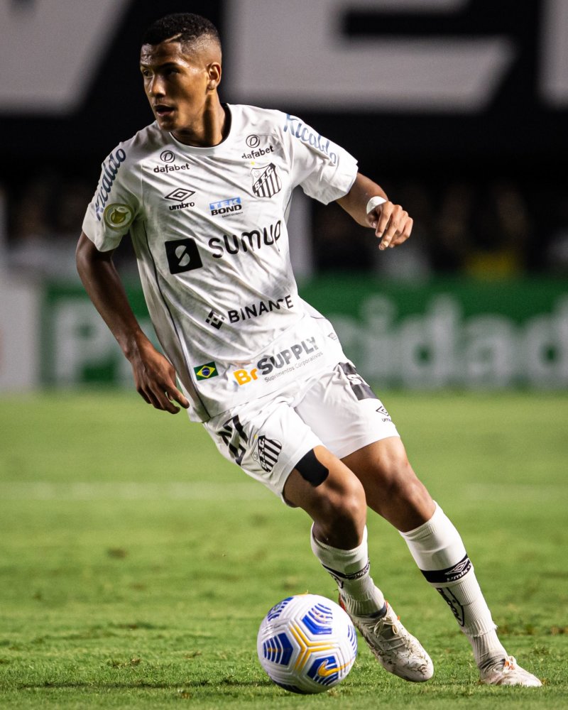 多种病原体 多种病原体