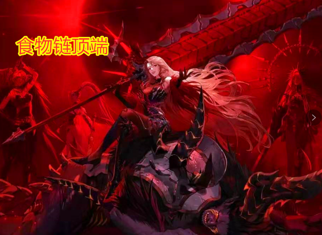 在决赛中 在决赛中